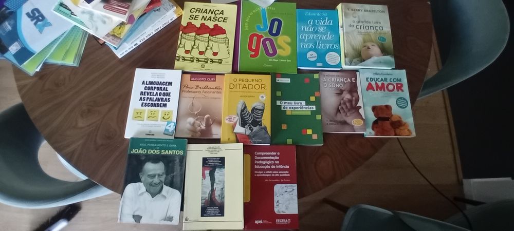Lote 26 Livros de Educação, Pedagogia, Psicologia Infantil, Desenvolvimento e Ensino – Muito bom estado
