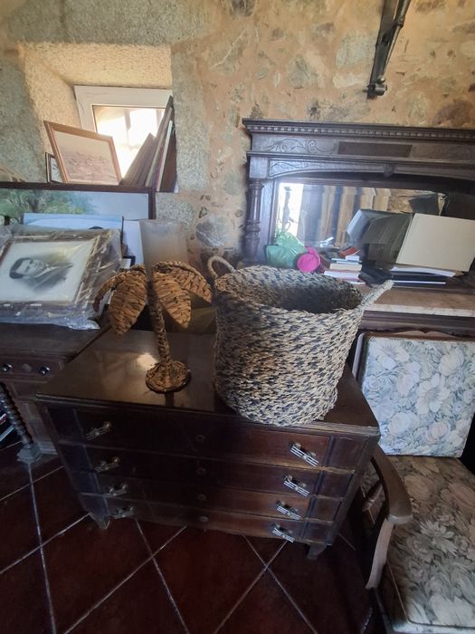 Conjunto                 Cesto com uma palmeira