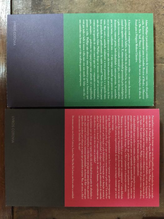 Louco para não dar em louco / Sobre o flirt - Adam Phillips