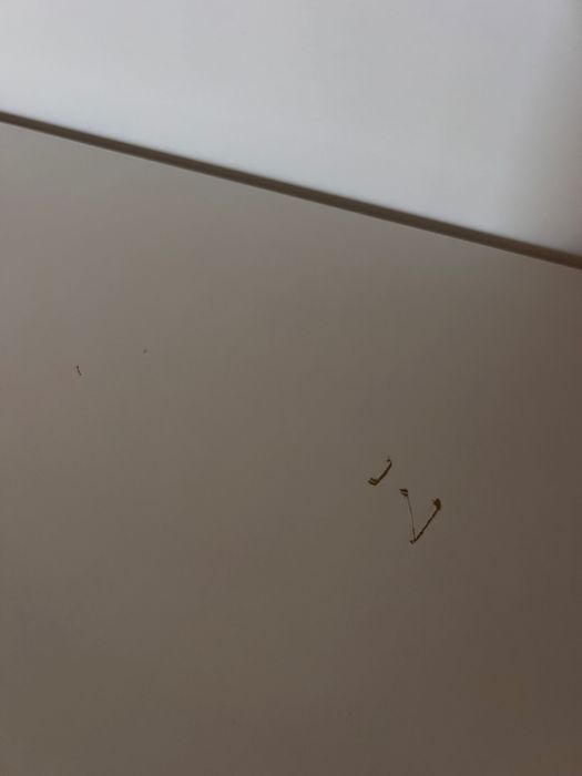 Móvel de arrumação