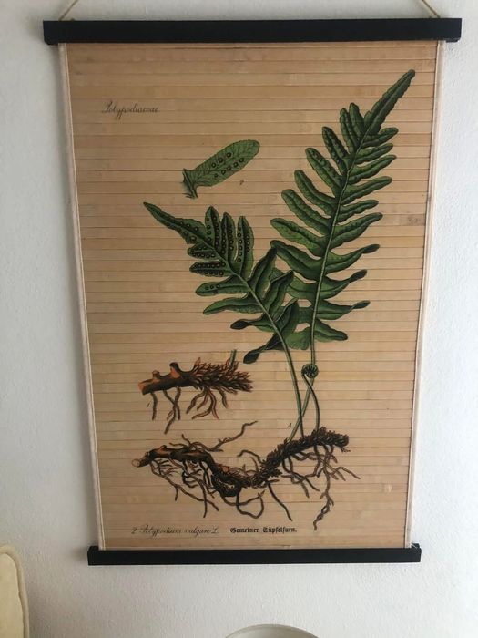 4 Quadros Decorativos