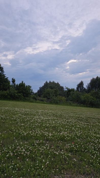 Dzierżawa działki