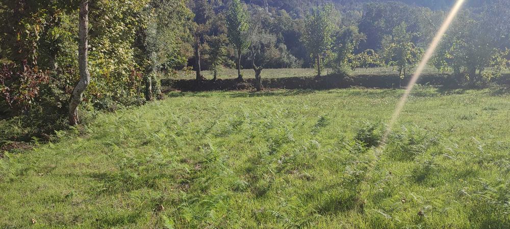 Vendo terreno com 1.074 m² em Souto, Terras de Bouro