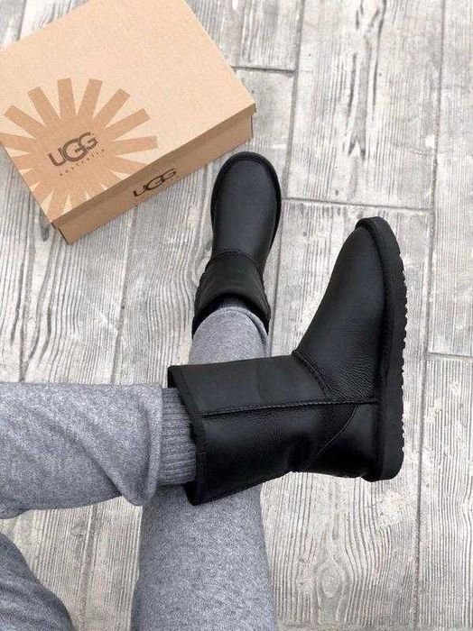 Чоловічі Угги/Угг/Уггі/Угі/UGG Australia Classic/Сапоги/Ботинки/Овчина