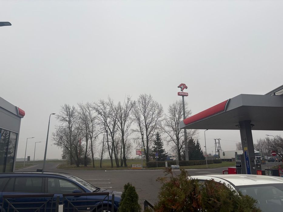 Karczowanie działek, wykaszanie, wycinka drzew, mulczer