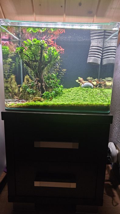 Akwarium kompletne 45l krewetkarium