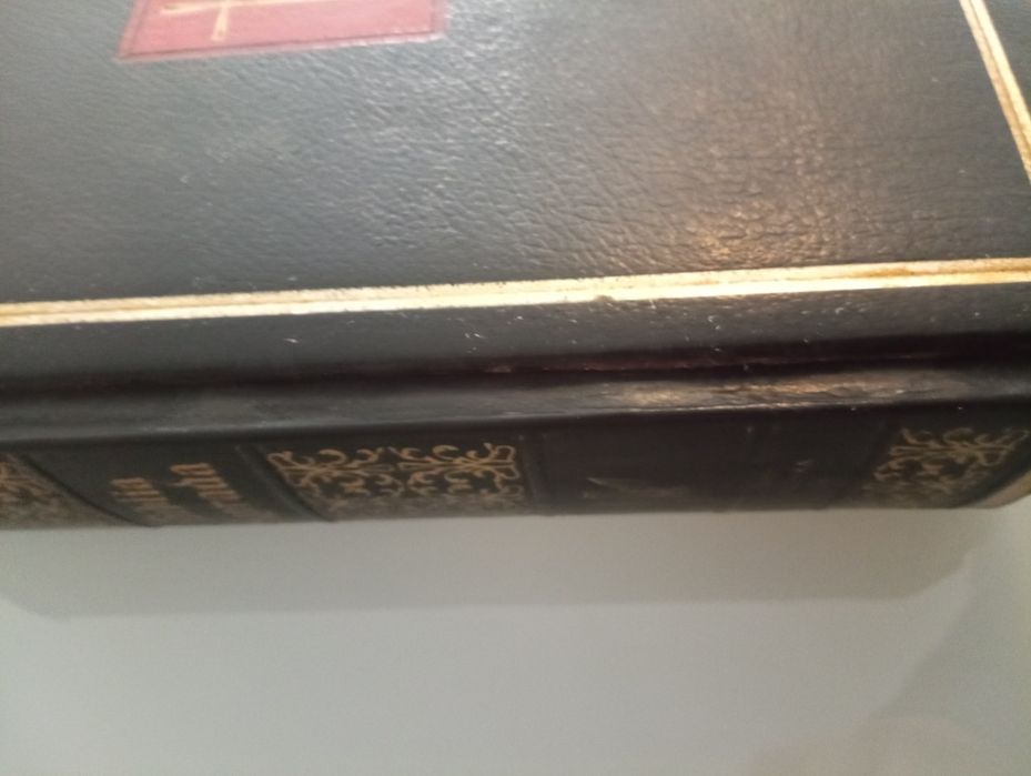 Biblia Sagrada -  Edição de Luxo	Com aplicações de ouro - Edição da Palavra Viva	-Em bom estado