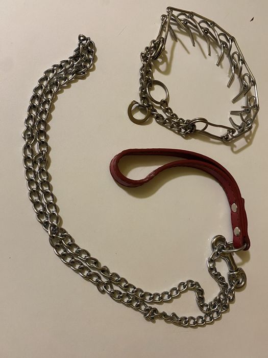 Рамінець і нашийник на маленьку породу