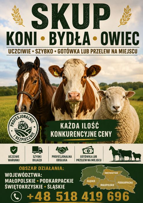 Skup bydła,cieląt,zwierząt,koni,owiec