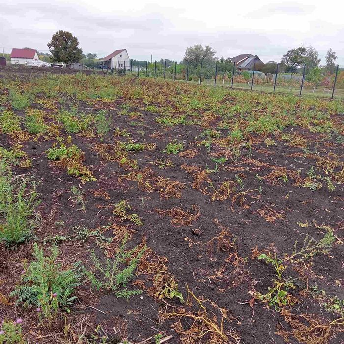 Продаж /ОБМІН Земельній ділянки під будівництво с.Веселинівка
