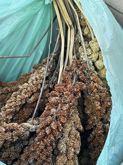 Klatka dla papug gonzo chrom - 78 x 47,5 x 79 cm czerwona plus sorgo piasek i karma champi
