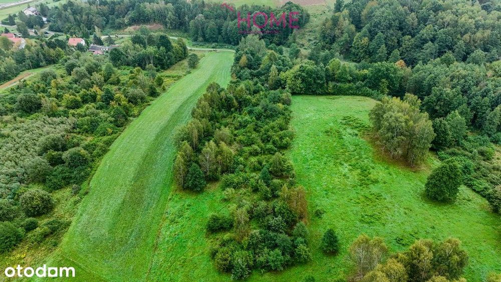 Nowy Borek 1,3675 ha- w trakcie Wz zagrodowa