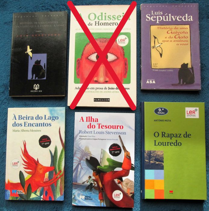 Metas Curriculares + Plano Nacional Leitura