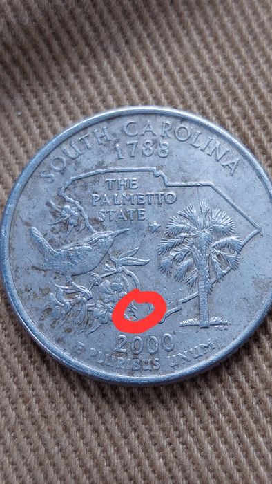 Vendo moeda quarter dollar
