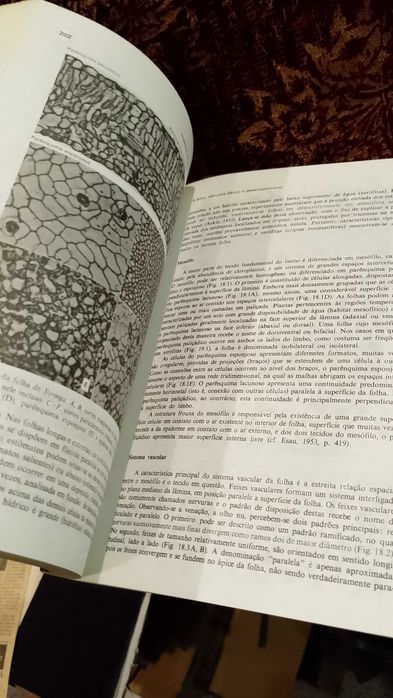 Anatomia das Plantas com Sementes - Katherine Esau