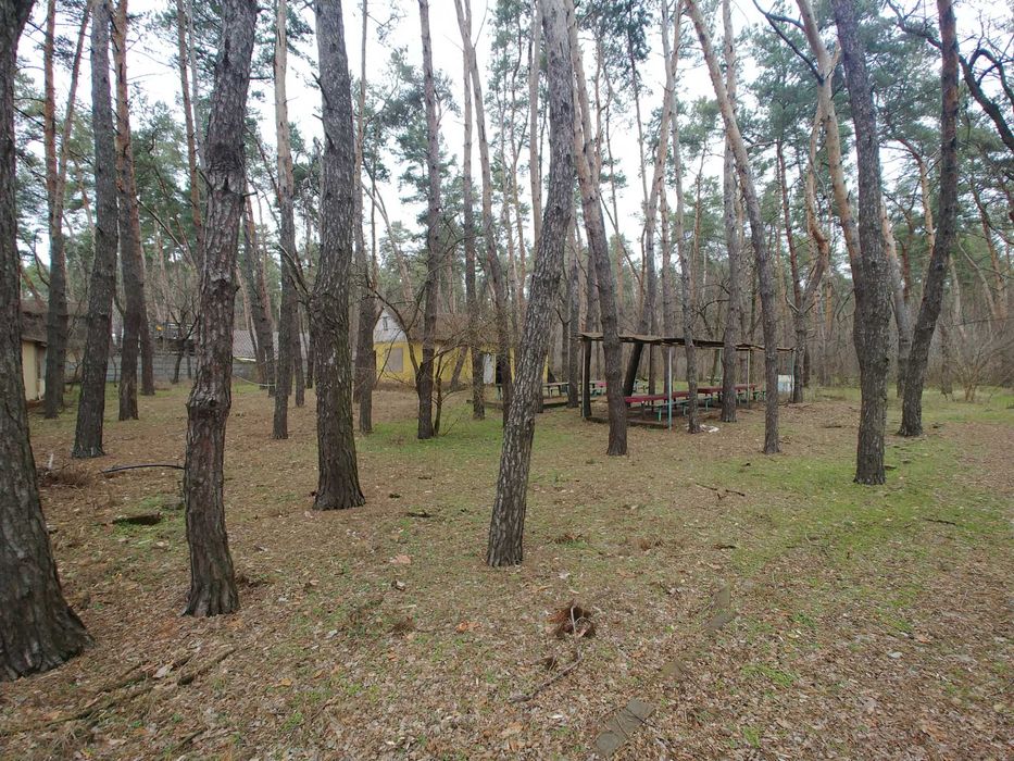 Продам базу отдыха 4 Га в Обуховке