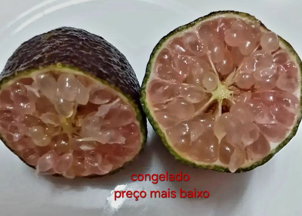 Lima caviar gourmet congelado
