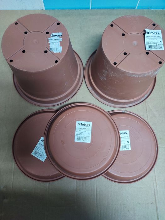 Vasos planta com prato