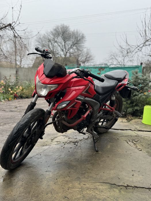 MotoLeader ML200 Shark