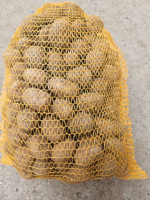 Ziemniaki sadzeniaki