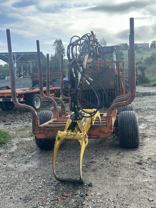 Massey Fergunson com grua Costa