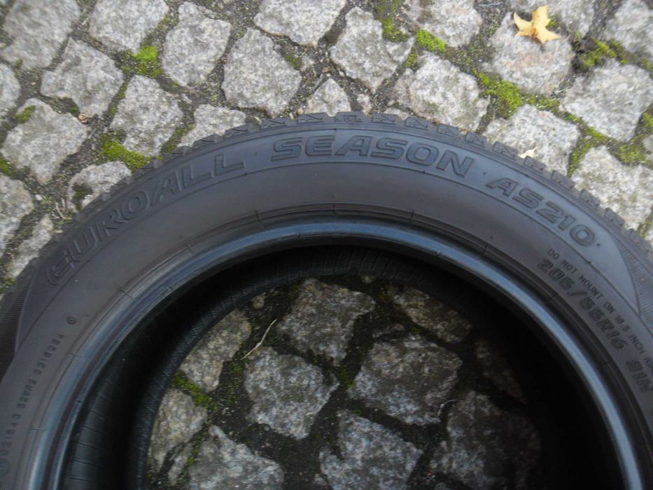 Para opon Falken Euroall season AS210 205/55R16 91H