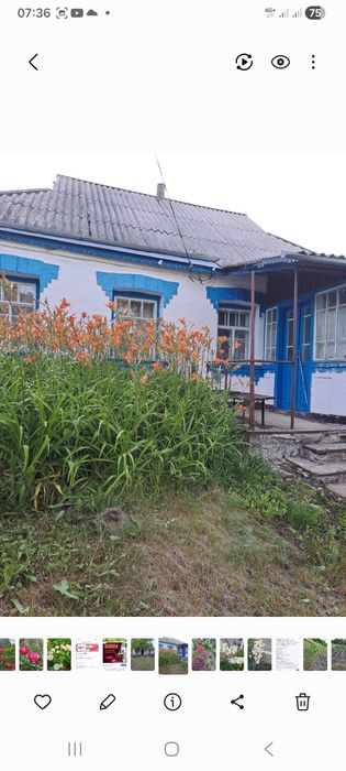 продам будинок в с Велика Березянка, Білоцерківського р_ну