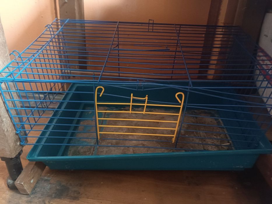 Отдам даром для крызунов