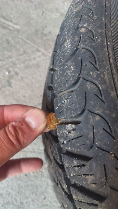 резина DEBICA 205/55 r16