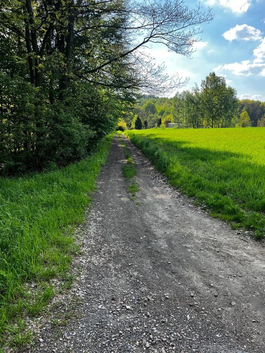 Sprzedam działkę rolną