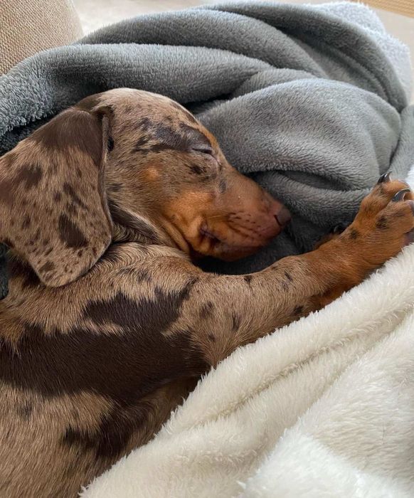 Продається мраморна дівчинка