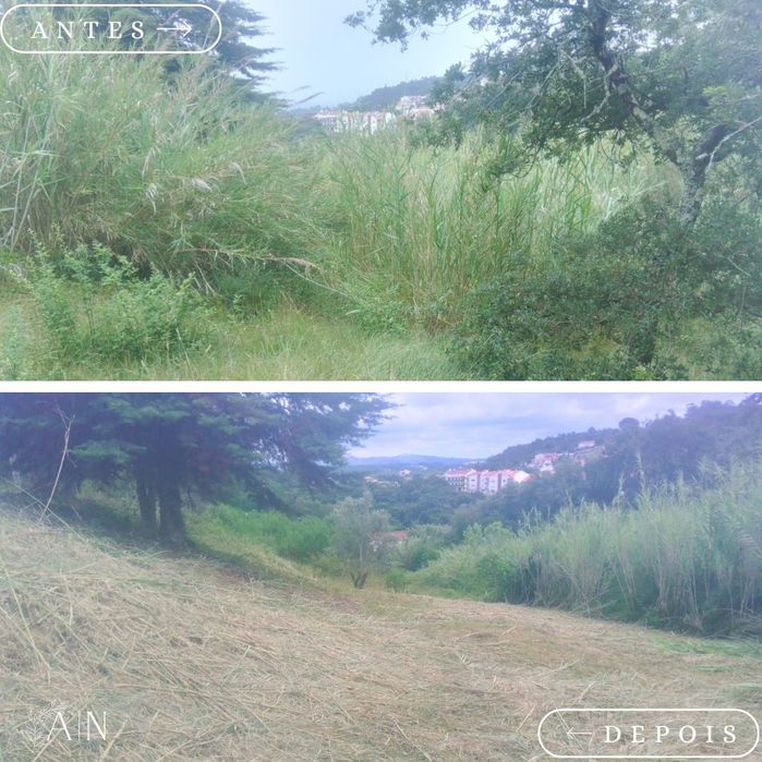 Limpeza de terrenos