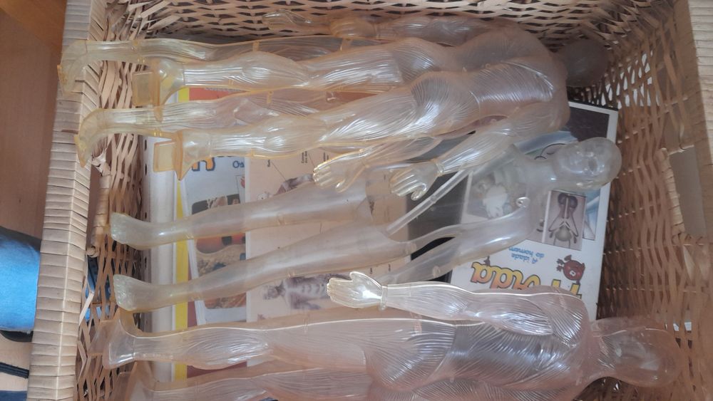 Corpo humano coleção