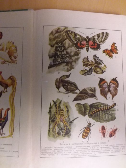 Загальна біологія  9-10 клас(порезана)