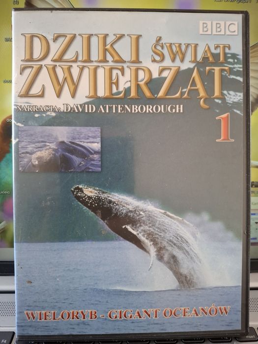 BBC - Dziki Świat Zwierząt - Wieloryb - DVD