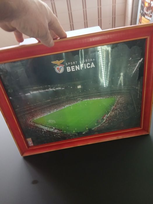 Quadro..DO..BENFICA