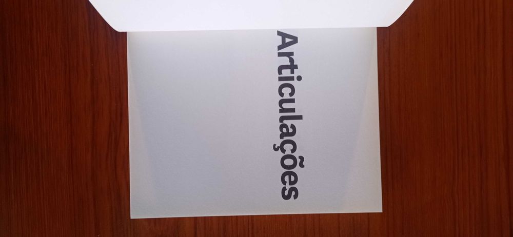 Fundação Serralves, Articulacões
