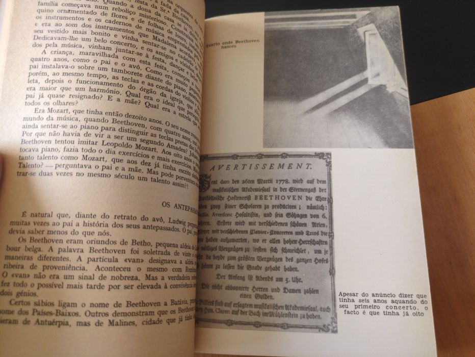 Beethoven de Emil Ludwig