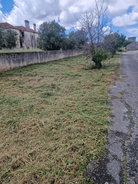 Terrenos ....... Limpar