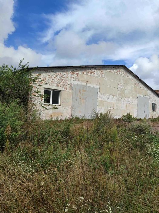 Продам виробничо-складськi примiщення в с.Рябцi бiля м.Чернiгiв