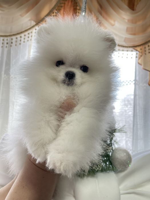 Міні сніжиночка померашка