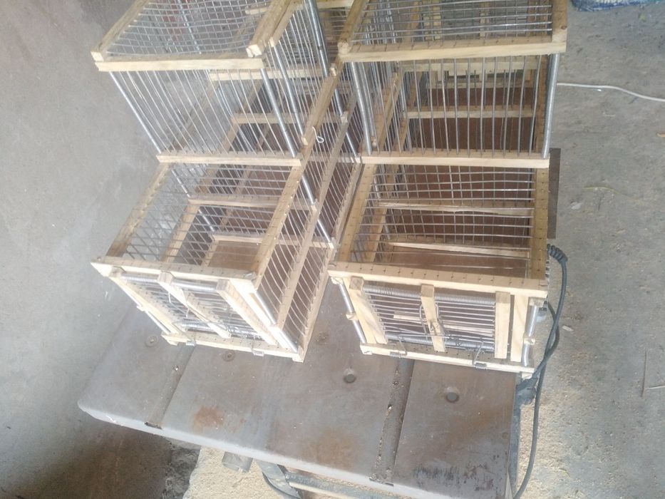 Alçapão automático