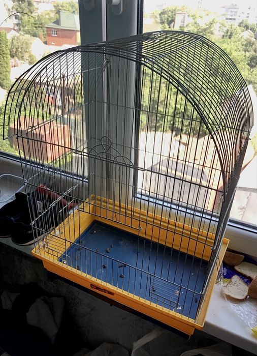Клітка для середнього папуги