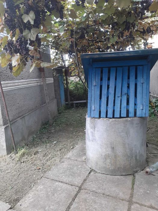 Будинок у селі Холмовець, Берегівський район, Закарпатська область