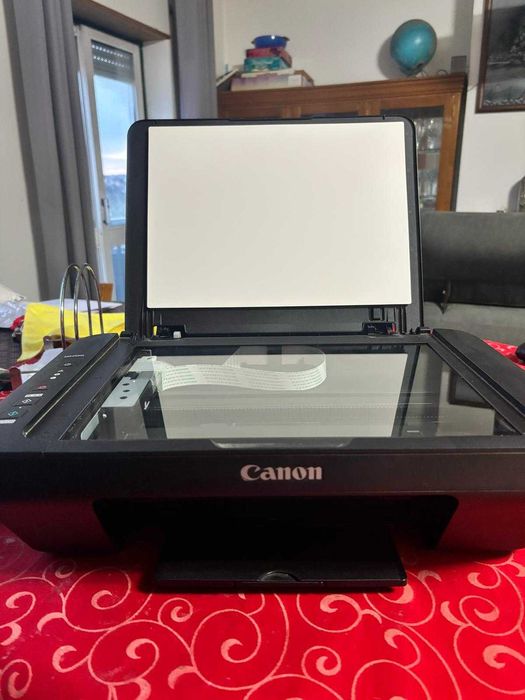 Impressora Canon MG2550S