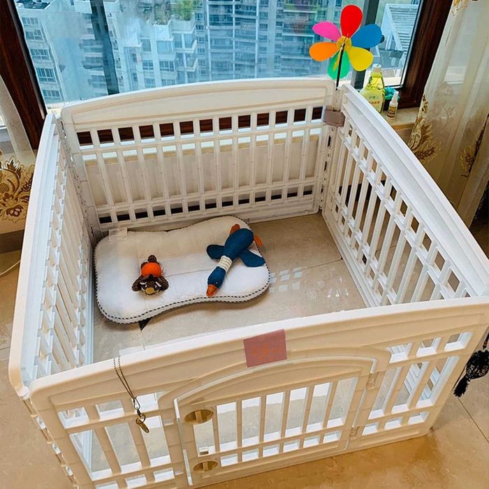 Cerca para cães "impecável"