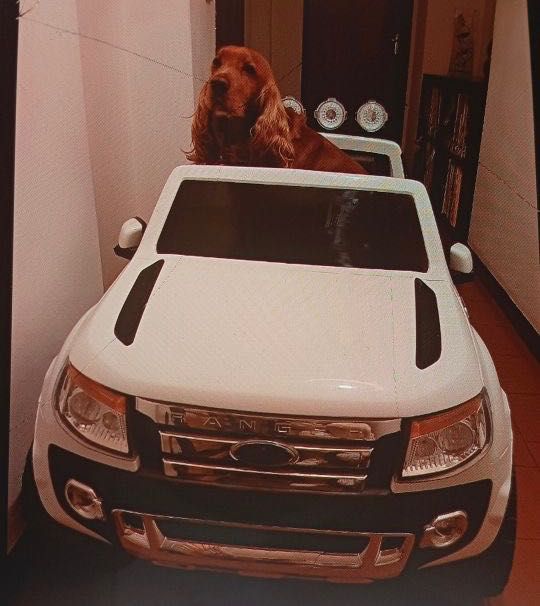 Carro elétrico crianças Ford Ranger