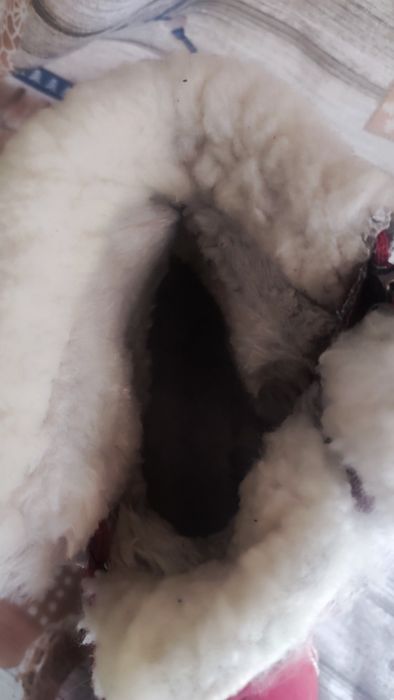 Сапоги / черевики / ботинки