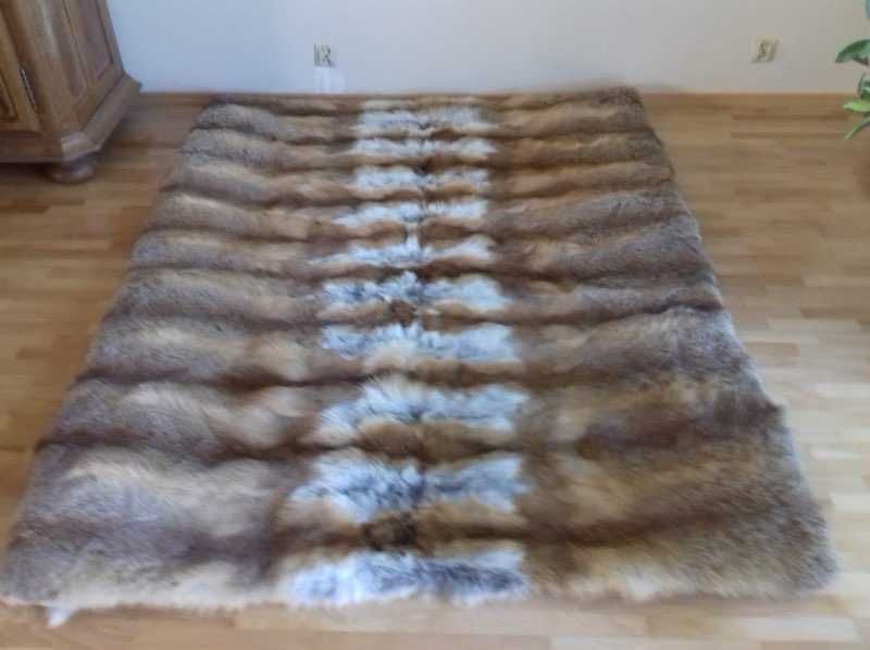 Dywan z lisa rudego uszyty z 20 lisów wymiar 1,5x2,0m