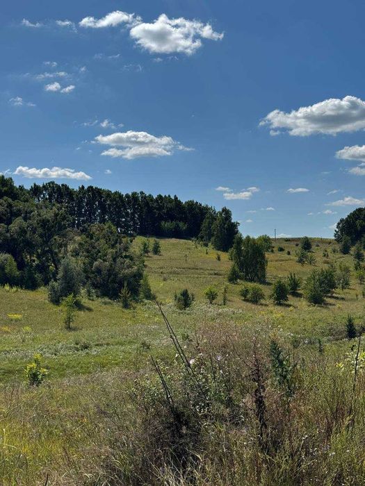 Малі Дмитровичі, ПРОДАЖ земельної ділянки